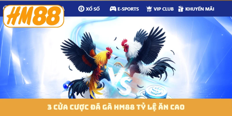 3 cửa cược đá gà HM88 tỷ lệ ăn cao