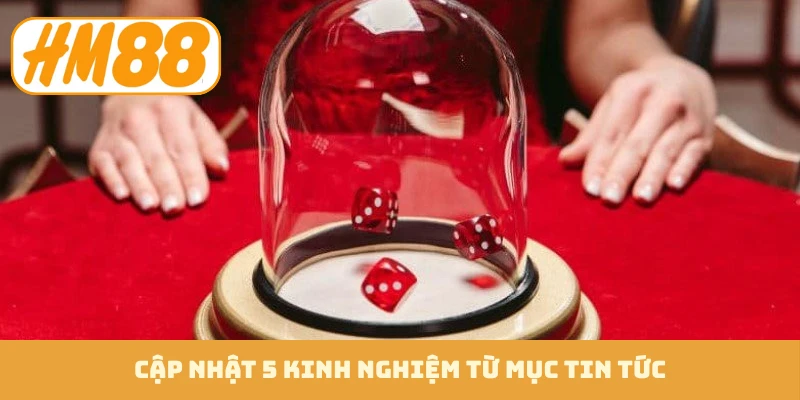 Cập nhật 5 kinh nghiệm từ mục tin tức