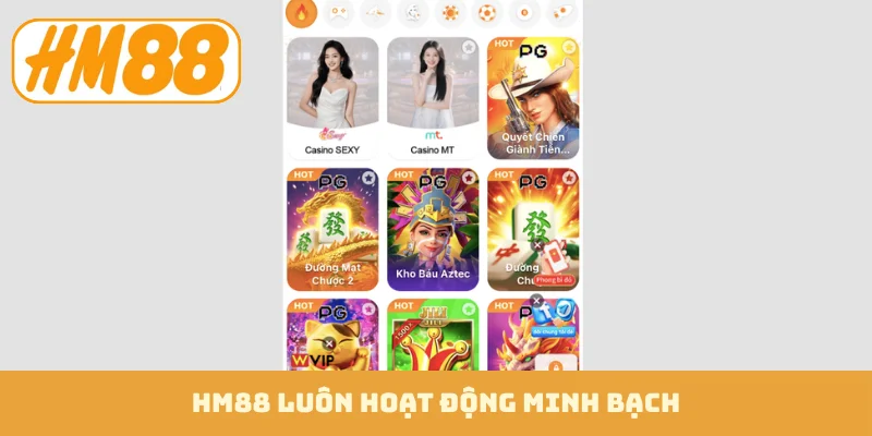 HM88 luôn hoạt động minh bạch