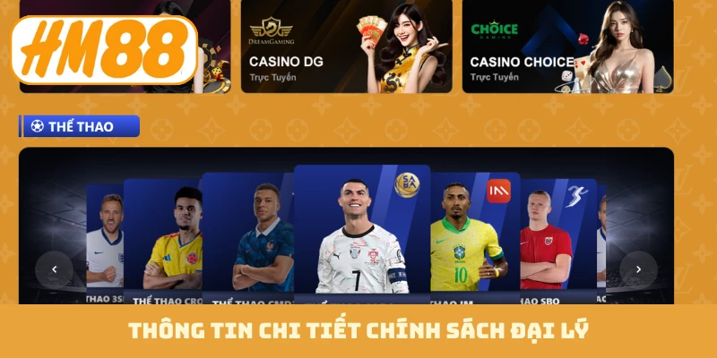 Thông tin chi tiết chính sách đại lý